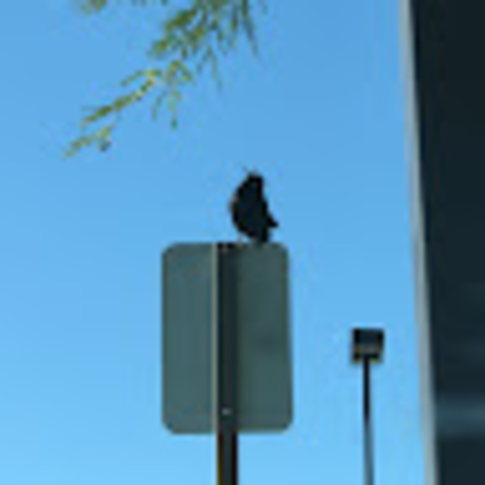 Meet your Posher, Caitlin